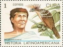 Calarca, Columbia; Hoatzin (Opisthocomus hoazin)