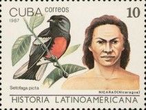 Nicarao, Nicaragua; Painted Redstart (Myioborus pictus)