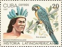 Guaycaypuro Indian of Venezuela