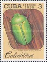 Emerald Colored Beetle (Platycoelia flavoscutellata)