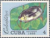 Scarab Beetle (Plusiotis argenteola)
