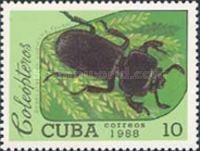 Bess Beetle (Odontotaenius zodiacus)