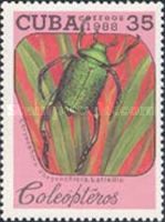 Shining Leaf Chafer Beetle (Chrysophora chrysochlora)