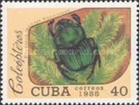 Phanaeus Scarab Beetle (Phanaeus leander)