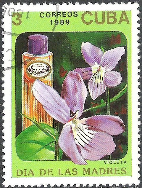 Violet