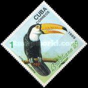 Common Toucan (Ramphastos toco)