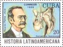 Ricardo Palma, Coryanthes leucocorys