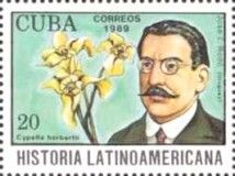 Jose E. Rodo