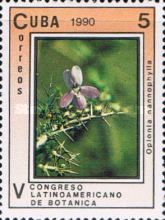 Oplonia nannophylla