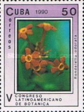 Rondeletia odorata