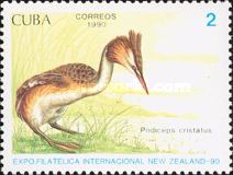 Great Crested Grebe (Podiceps cristatus)