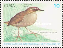 Bush Wren (Xenicus longipes)