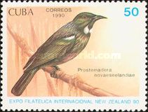 Tui (Prosthemadera novaeseelandiae)