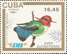 Bee Hummingbird (Mellisuga helenae)