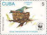 Bee Hummingbird (Mellisuga helenae)