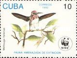 Bee Hummingbird (Mellisuga helenae)