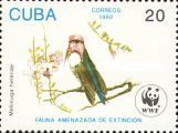 Bee Hummingbird (Mellisuga helenae)