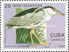 Black-crowned Night-heron (Nycticorax nycticorax)