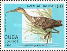 Limpkin (Aramus guarauna)