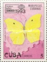 Yellow-angled Sulphur (Anteos maerula)