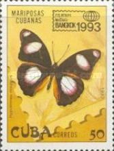 Danaid Eggfly (Hypolimnas misippus)