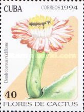 Dendrocereus nudiflorus