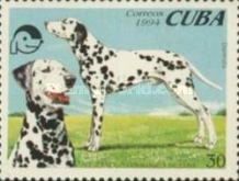 Dalmatian (Canis lupus familiaris)