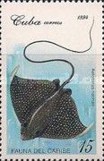Spotted Eagle Ray (Aetobatus narinari)