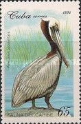 Brown Pelican (Pelecanus occidentalis)