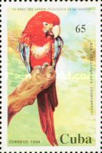 Red-and-green Macaw (Ara chloroptera)