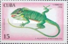 Baracoa Anole (Anolis baracoae)
