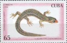 Ramsden's Least Gecko (Sphaerodactylus ramsdeni)