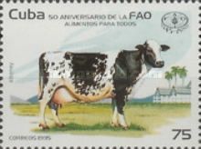 FAO, 50th Anniversary: Siboney Cow (Bos primigenius taurus)