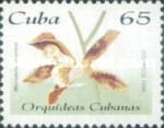 Macradenia lutescens