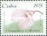 Ionopsis utricularioides
