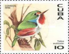 Cuban Tody (Todus multicolor)