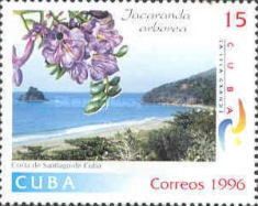 Jacaranda arborea