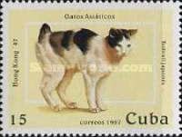 Japanese Bobtail (Felis silvestris catus)