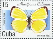 Dina Yellow (Eurema dina)
