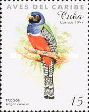 Blue-crowned Trogon (Trogon curucui)