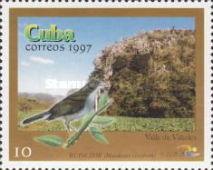 Cuban Solitaire (Myadestes elisabeth), Viñales Valley