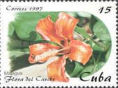 Hibiscus elatus