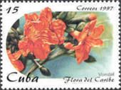 Cordia sebestena (vomitel)