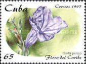 Salta perico (Ruellia tuberosa)