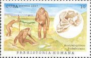 Australopithecus africanus