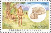 Pithecanthropus (Java man)