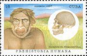 Neanderthal