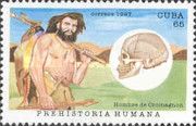 Homo Sapiens sapiens - Cro-Magnon-Typus
