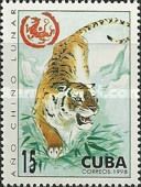 Year of the Tiger