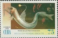 Sloane's Viperfish (Chauliodus sloani)